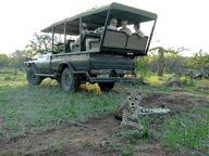 Tshukudu